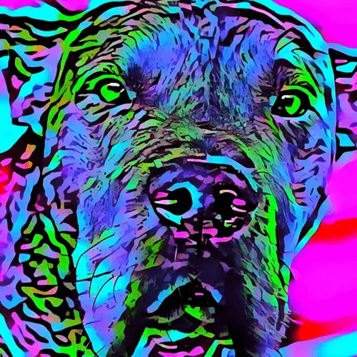 Breeds #16 (Great Dane) 