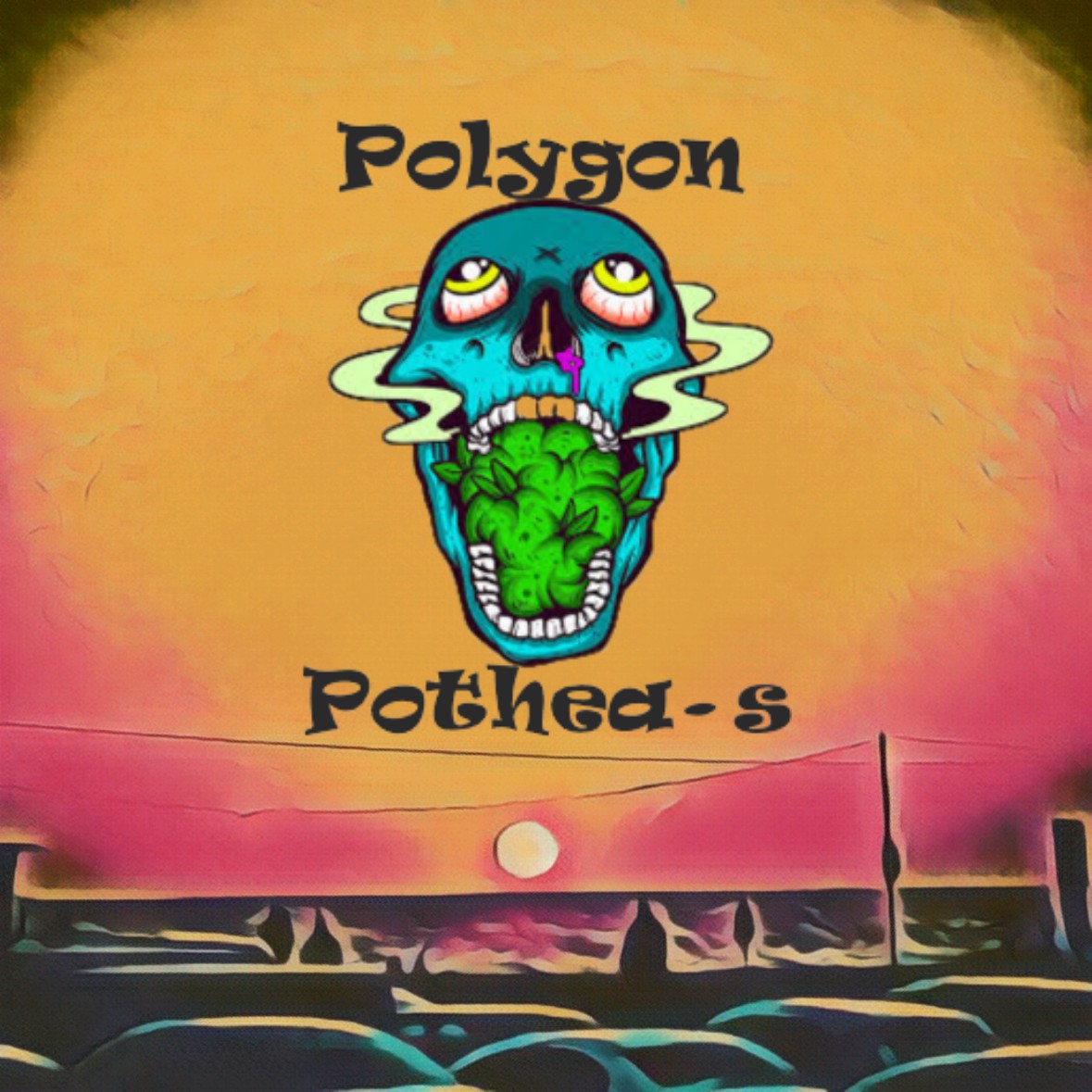 Polygon_potheads