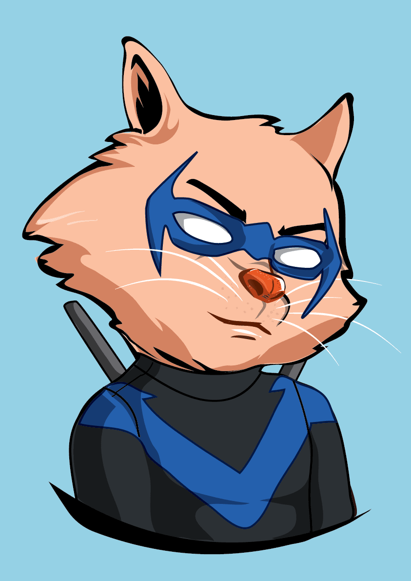 Raccoon-405