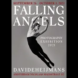 Falling Angels collection image
