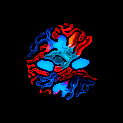 Haematopoiesis #191