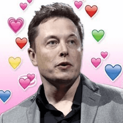 Elon DAO collection image