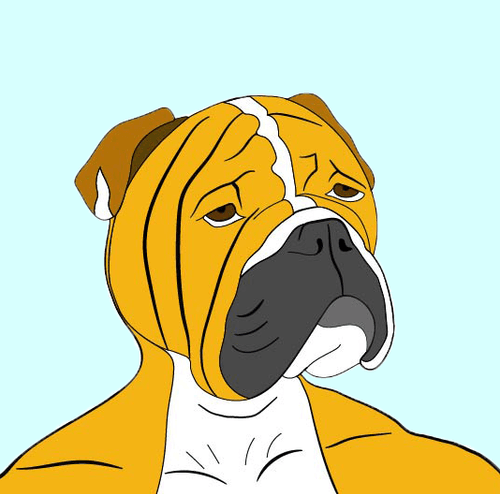 Chad Doggo