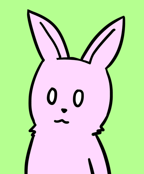 D-BUNNY