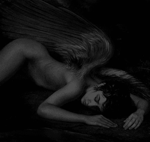 The lost angel