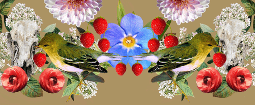 The Strawberry Thieves Banner 15