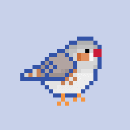 zebra finch #22