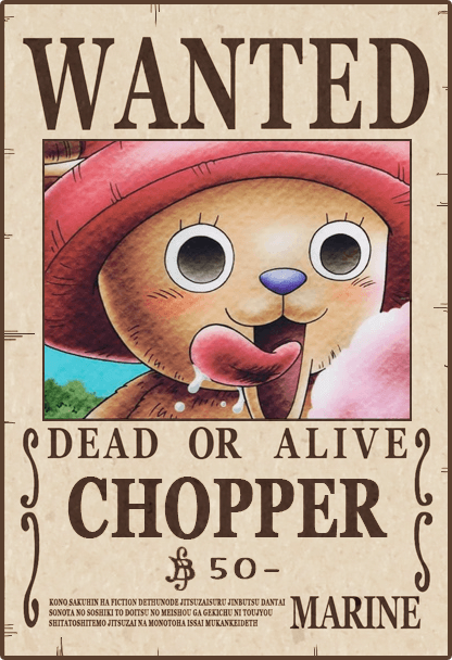 CHOPPER - One Piece Wanted #1