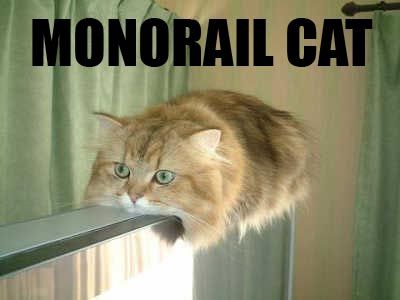 Monorail Cat - Original I Can Has Cheezburger?