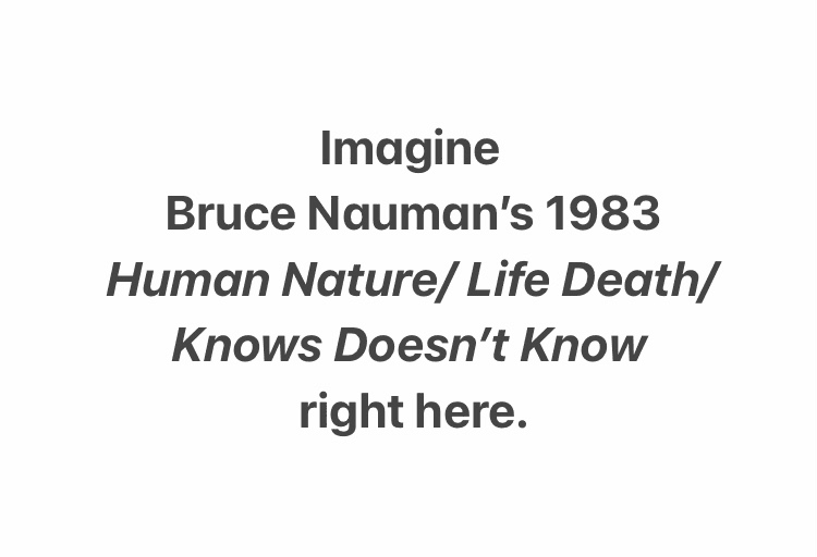 Imagine Bruce Nauman's 1983 Human Nature/ Life Death/ Knows Doesn't Know