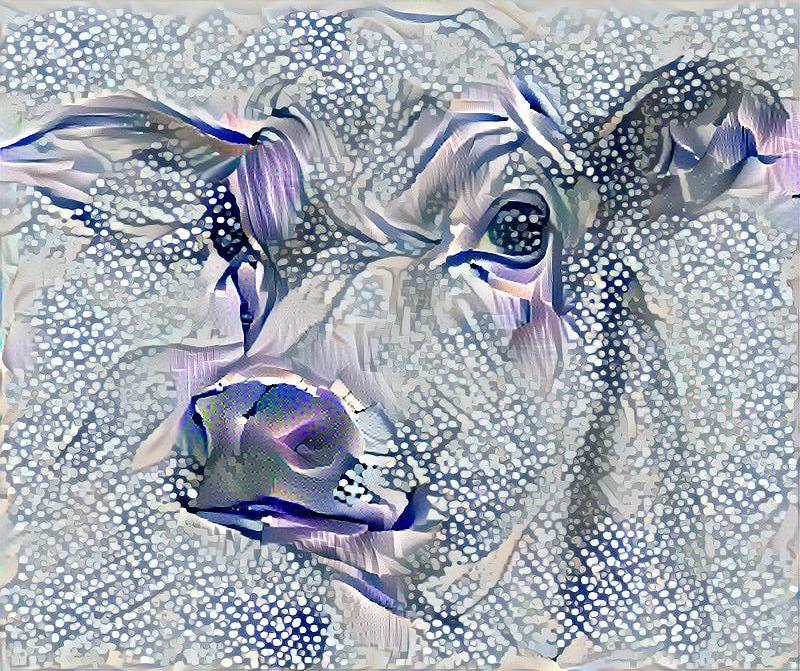 Art cow. Celebrity detected.