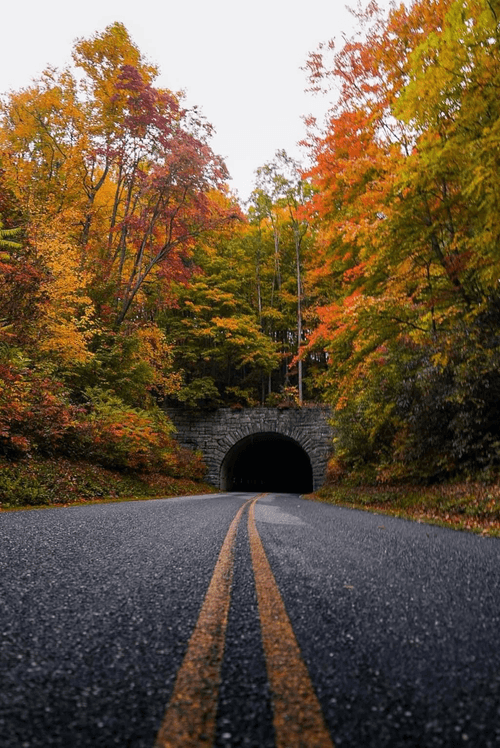 Fall in NC