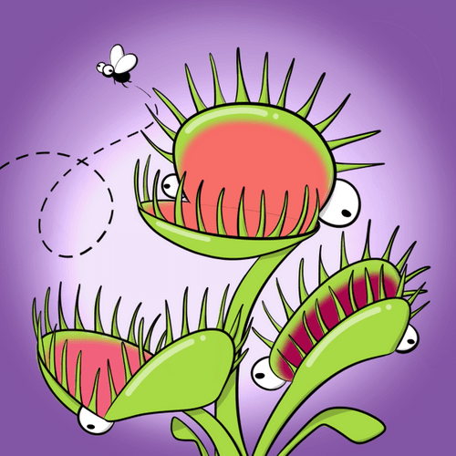 Fly Frogs Flytrap