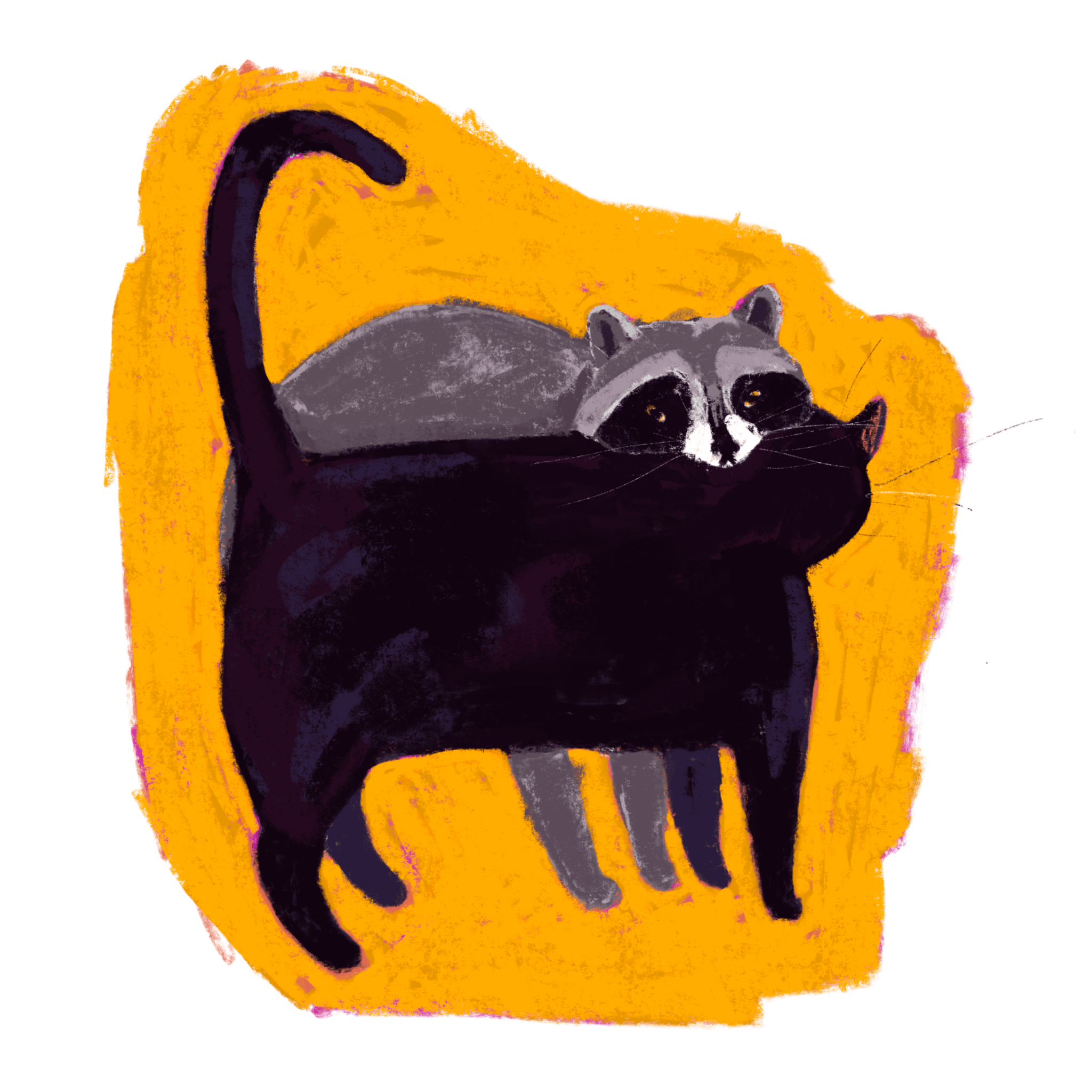 Cat and a Raccoon Hug 