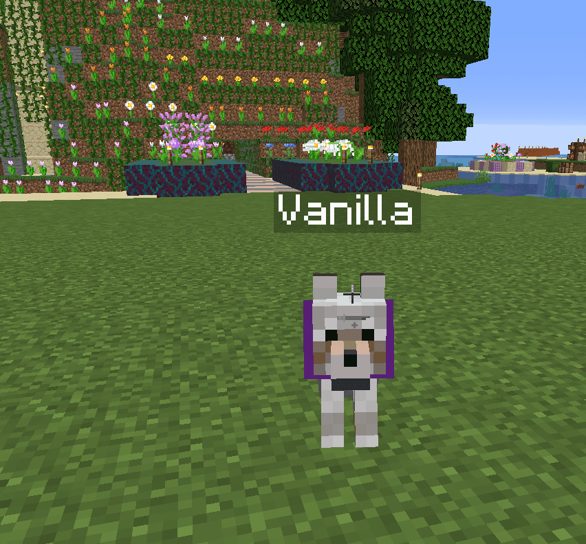 Vanilla, Minecraft Version