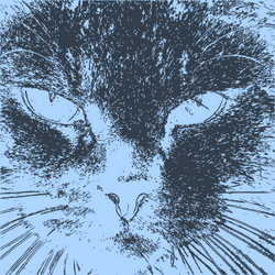 Minimalism Cat collection image