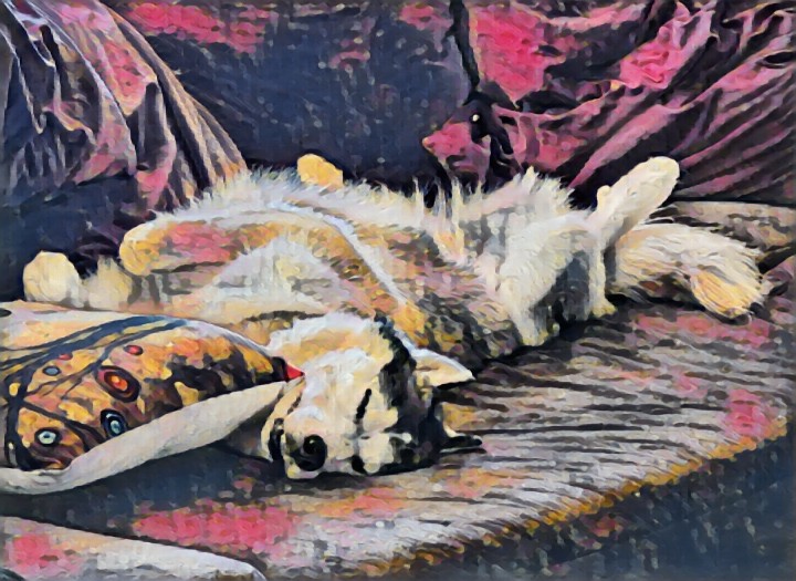 Dazed Yumi