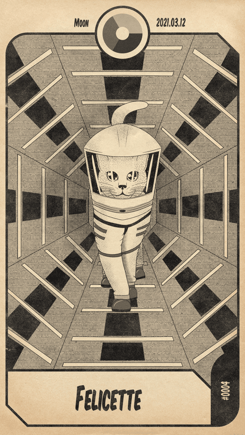 Space cat - Moon