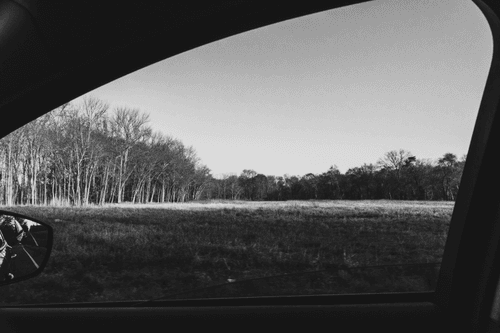 Passenger #008. Beacon 