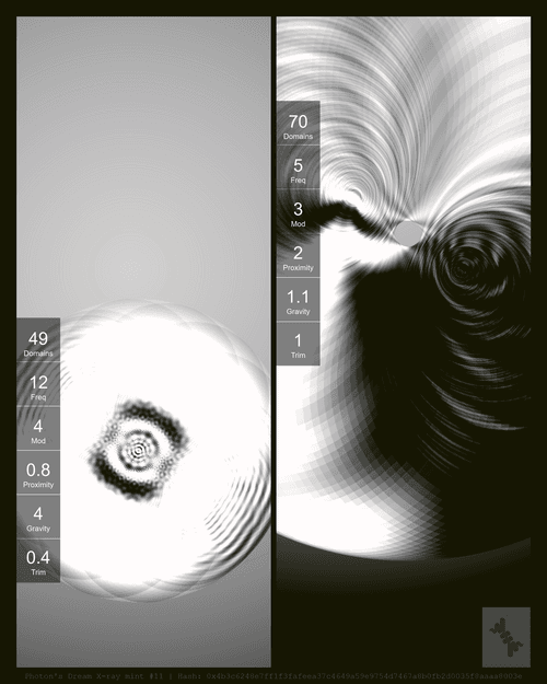 Photon's Dream X-ray mint#11