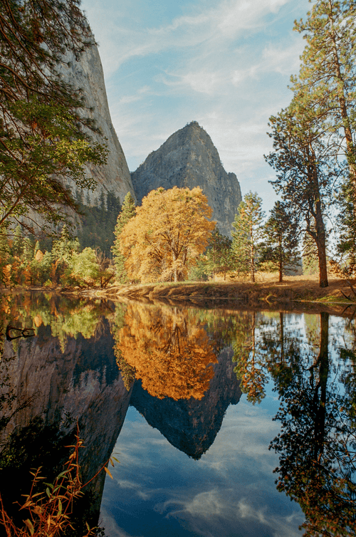 The Yosemite Collection -03