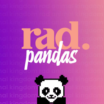 RadKingdom Pandas
