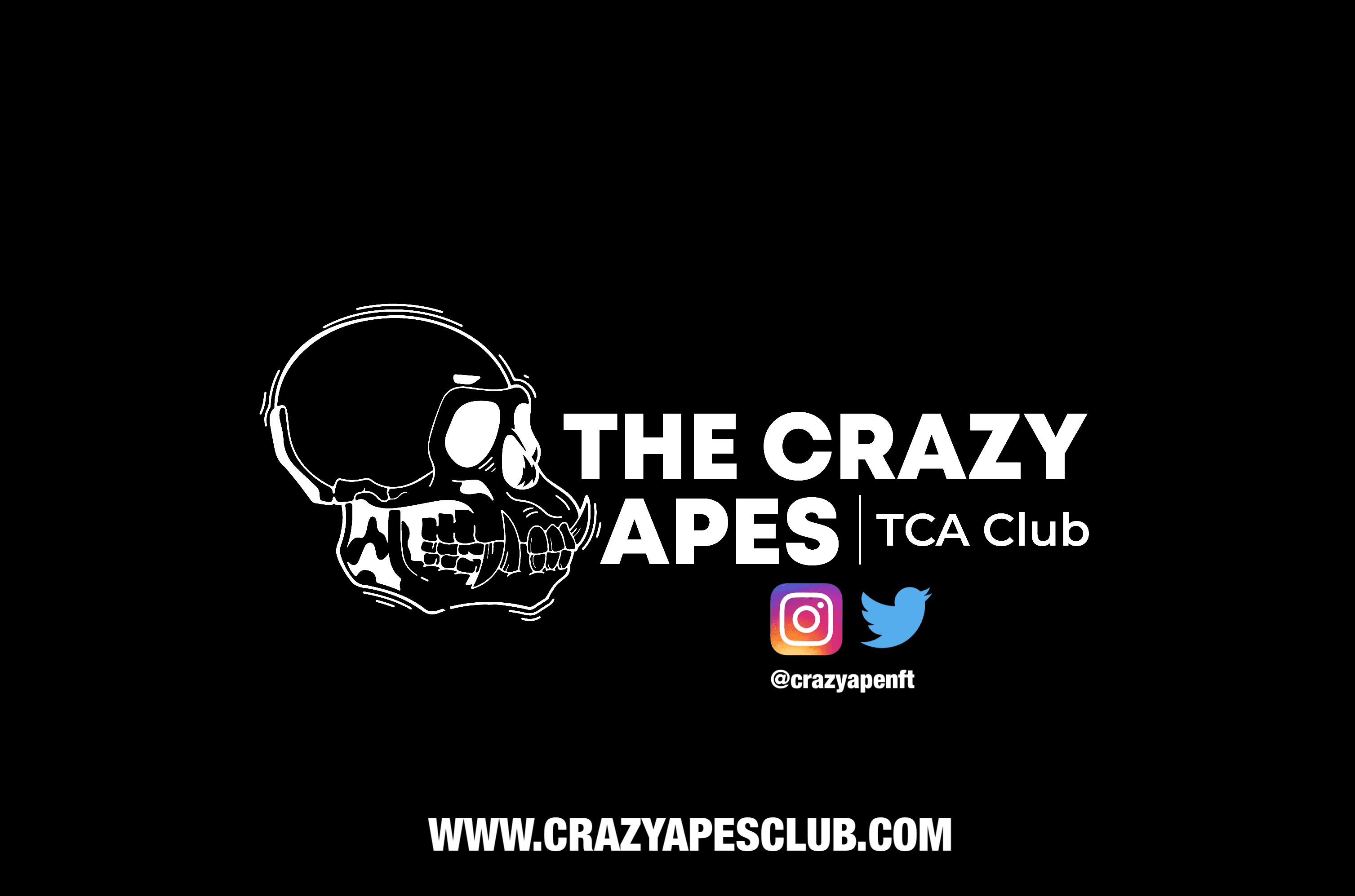 TheCrazyApes banner