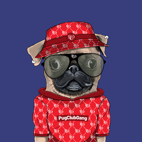 Pug #0113