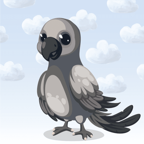 Aiko The Parrot
