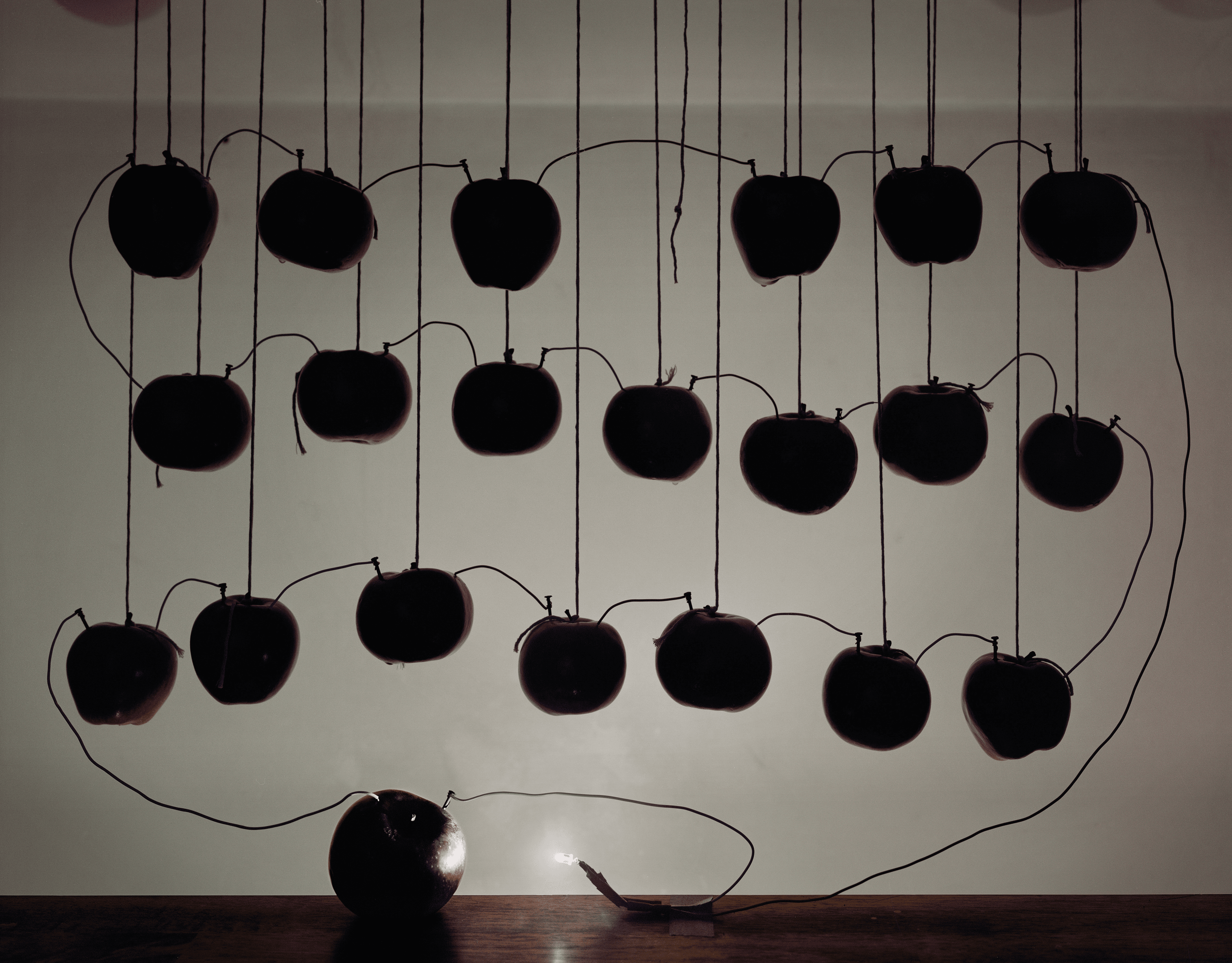 Back to Light - Battery with Hanging Apples, 2013