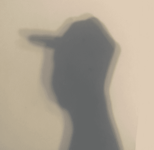 Shadow Puppet Punks #1