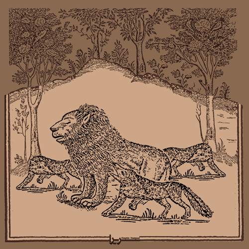 Alone Lion
