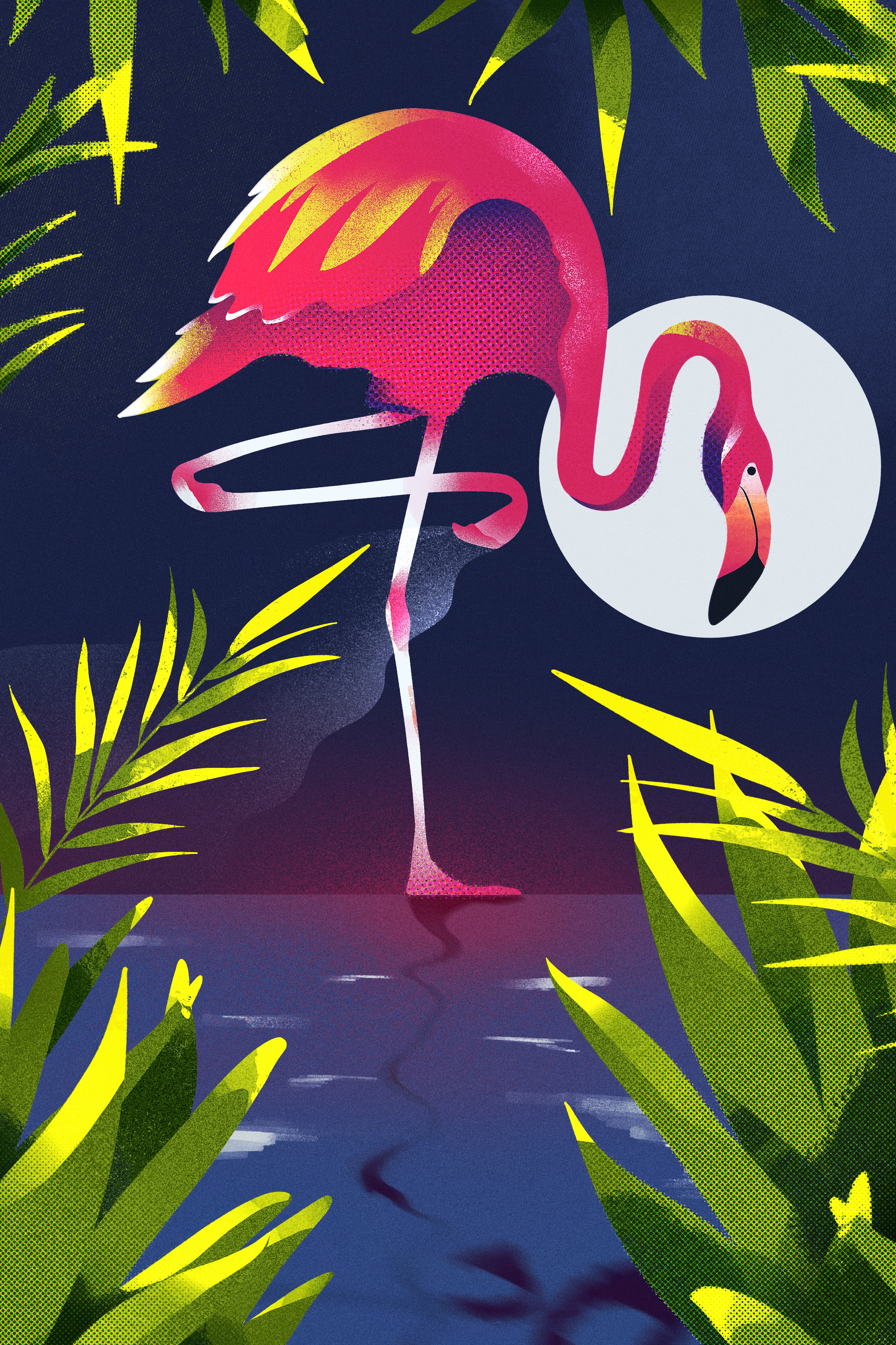 flamingo moon