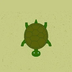 Crypto-Turtles collection image
