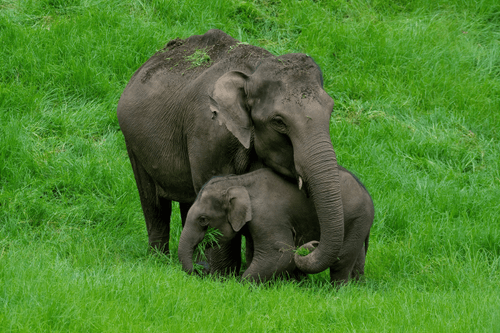 Endless Love...