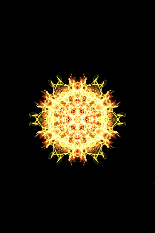 The Sun