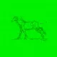 GREEN EDITION horse-gif-cards