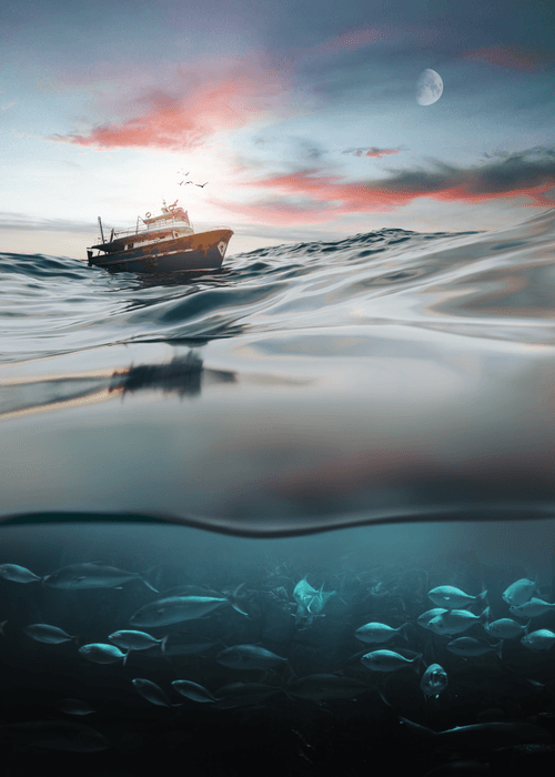 Ocean #5