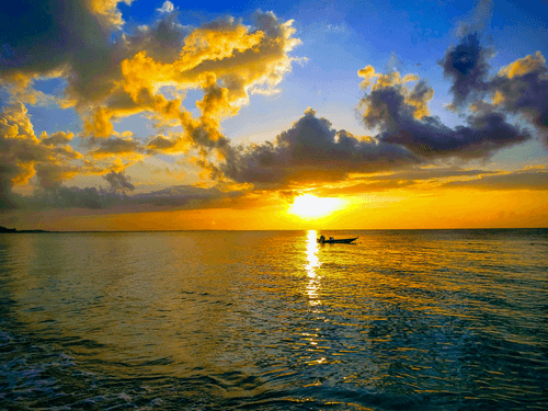 The Sun's Reminder About the Simplicity of Life