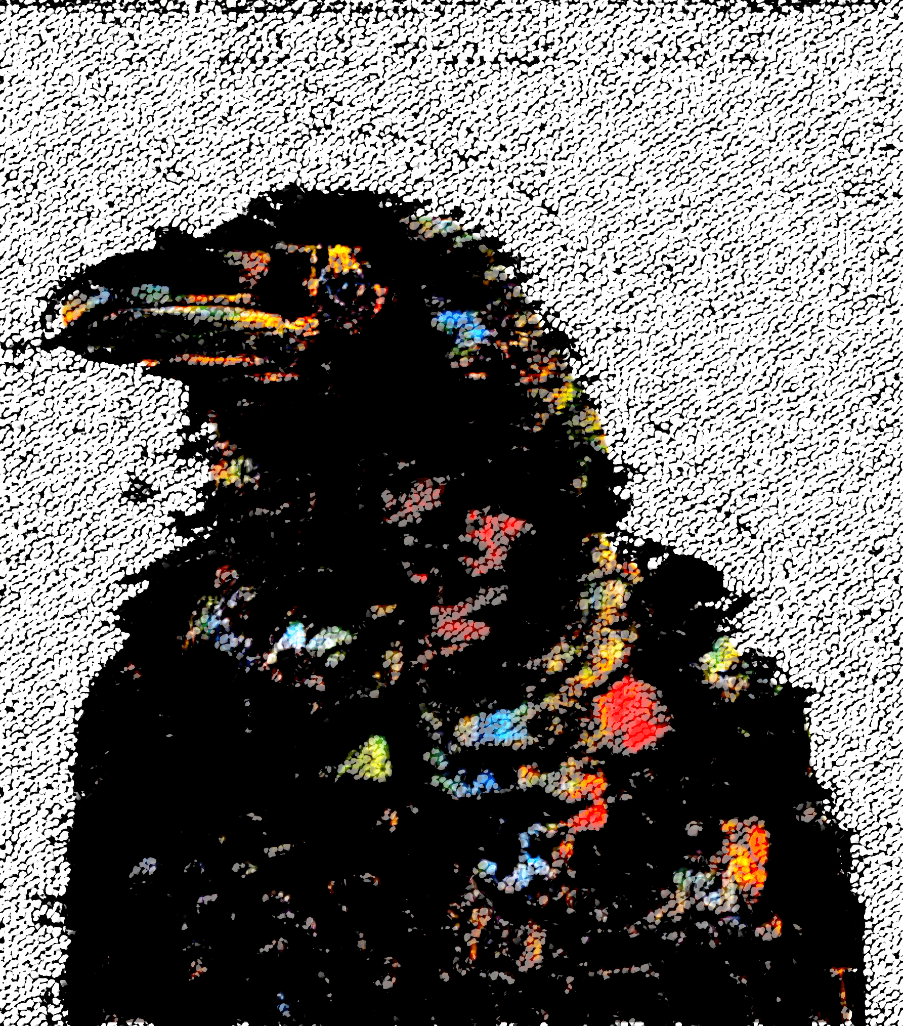 Arlequin Crow