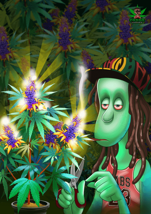 NFToker 6236 - Greenhouse Cover Art