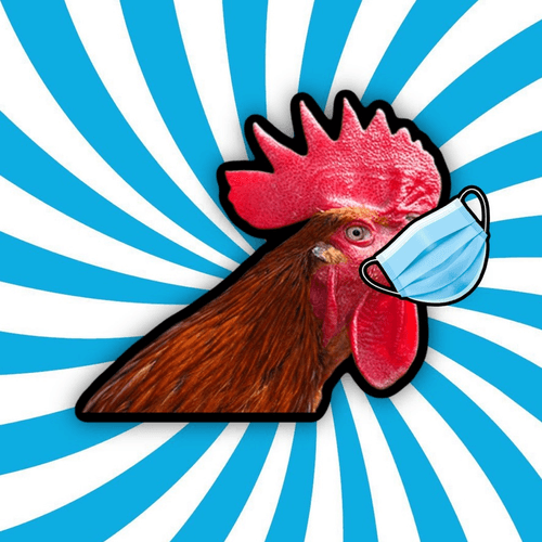 Omicron Rooster