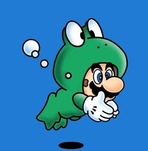 #13 mario frog