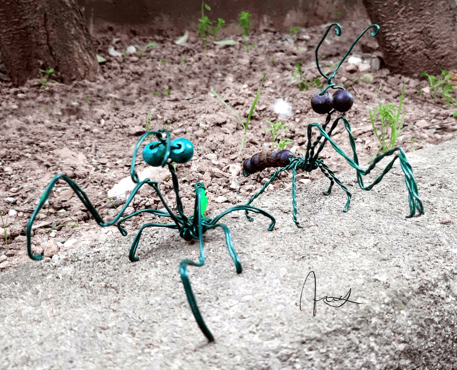 Ant-mantis #5