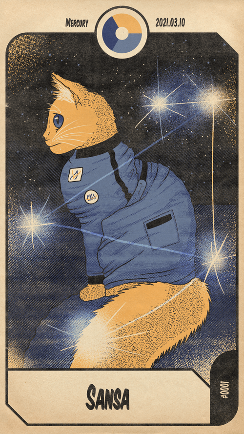 Space cat - Mercury