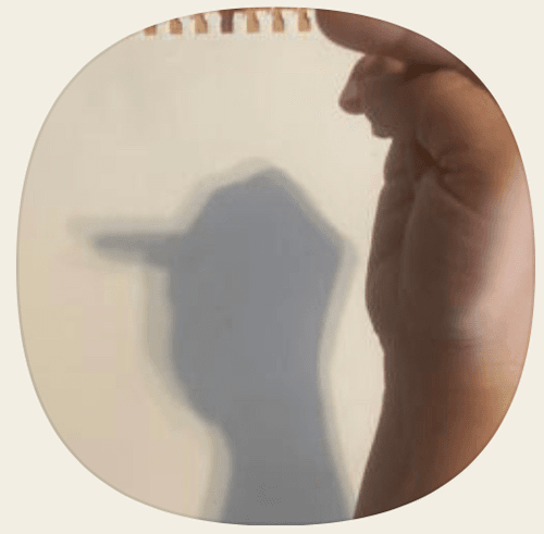 Shadow Puppet Punks