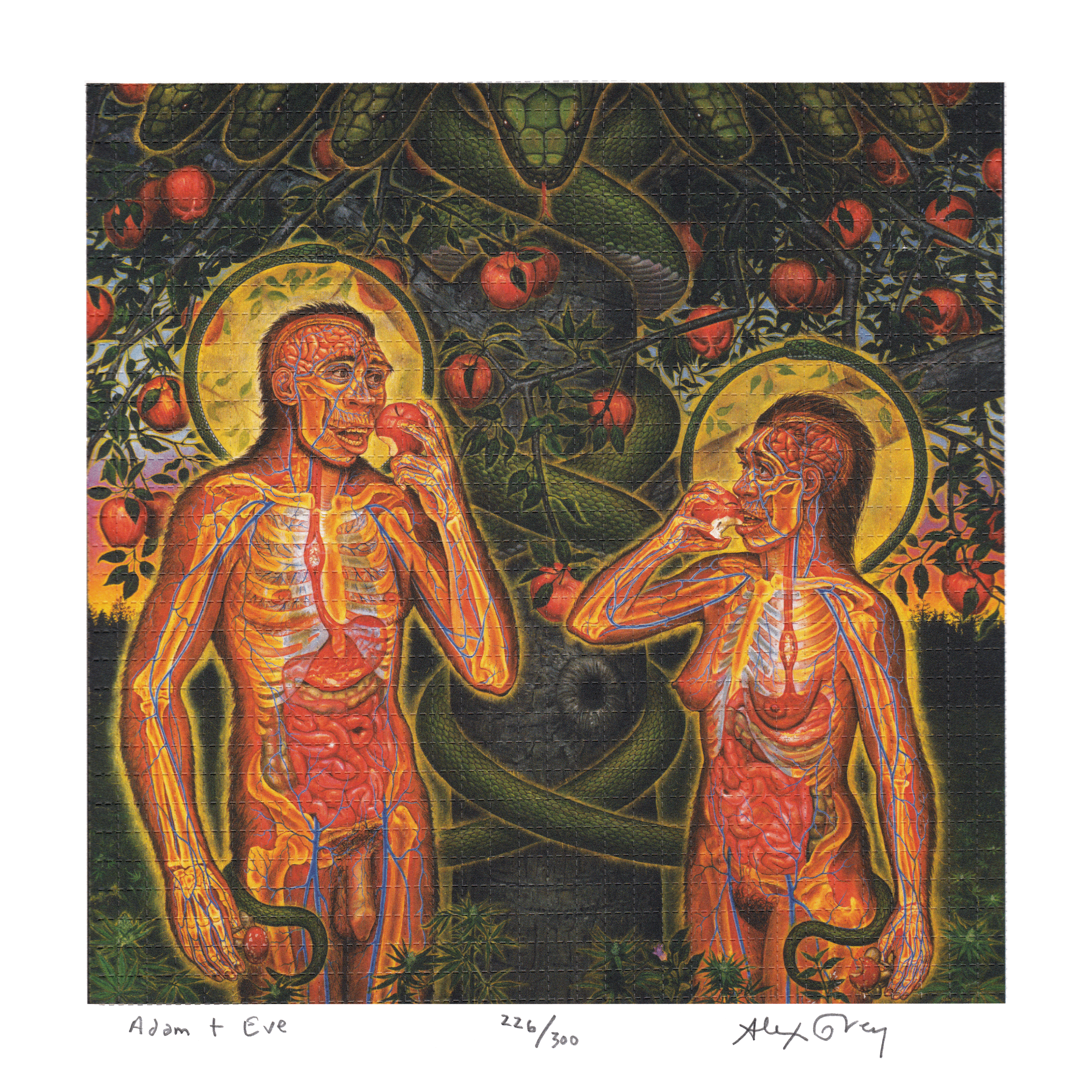 Adam & Eve by Alex Grey as LSD Blotter Art #226/300