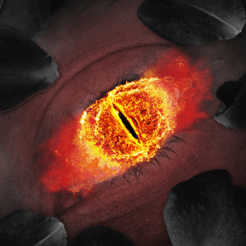 #EYE of SAURON