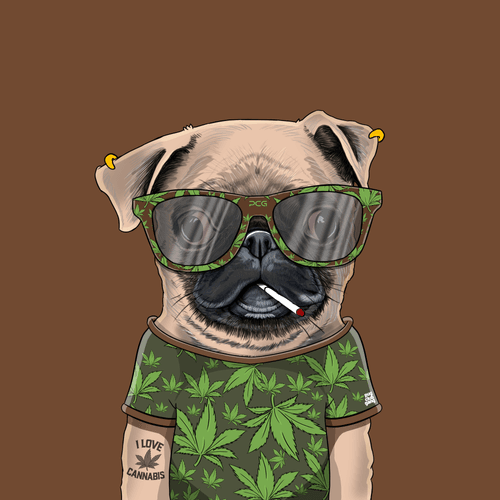 Pug #0038