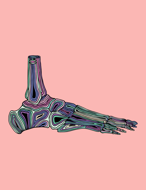 Foot #24